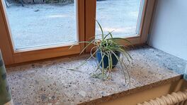 Fensterbank aus Nagelfluh
